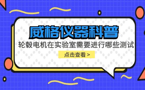 威格儀器-輪轂電機(jī)在實驗室需要進(jìn)行哪些測試插圖